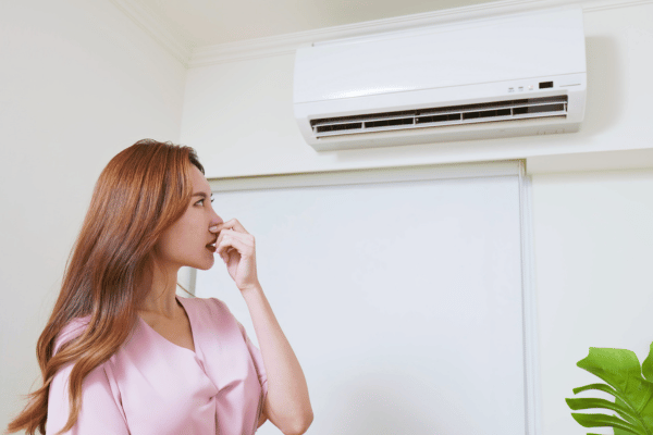 Understanding and Dealing with Air Conditioner Smells