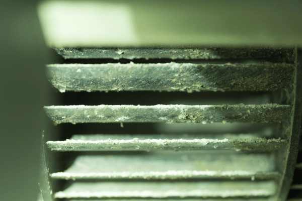 Understanding Mold in Your Air Conditioner: Causes, Symptoms, and Cleaning Tips