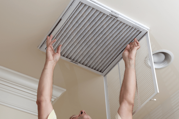 Everything You Need to Know About Air Filter Replacement